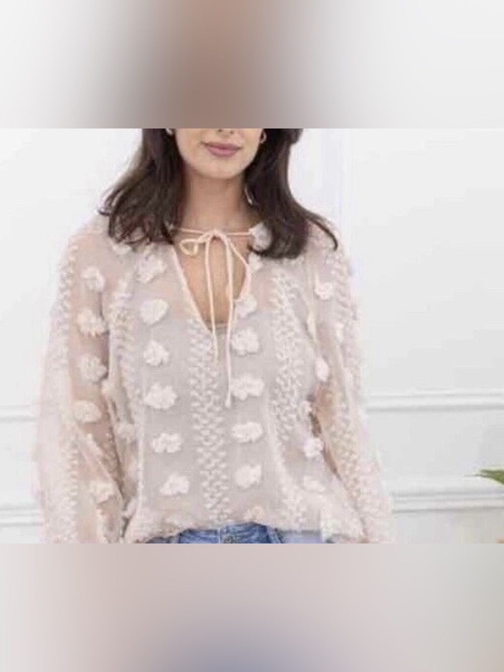 ZARA Cream Floral 3D Appliqué Sheer Tie-Front Blouse